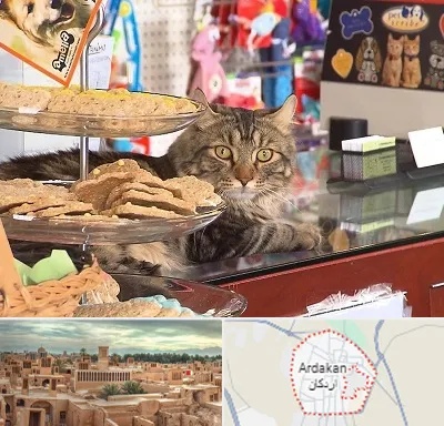 فروشگاه لوازم گربه در اردکان
