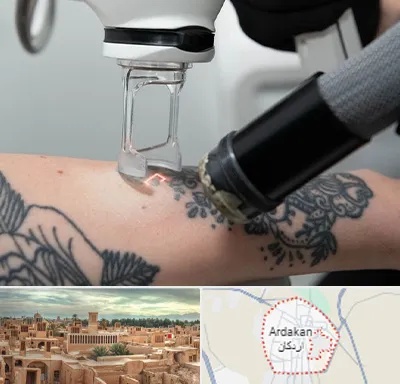 ریمو تاتو در اردکان