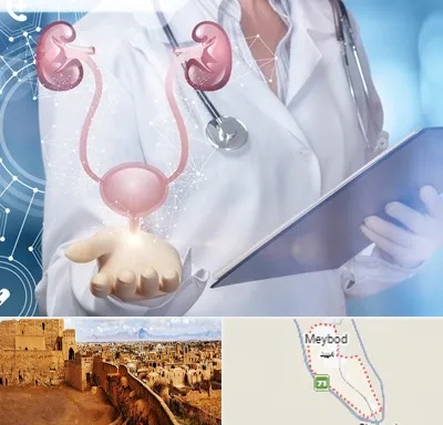 متخصص اورولوژی خانم در میبد