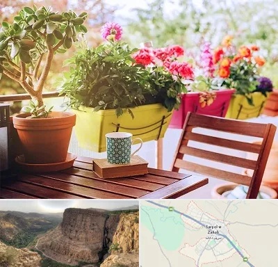 گیاه آپارتمانی در سرپل ذهاب