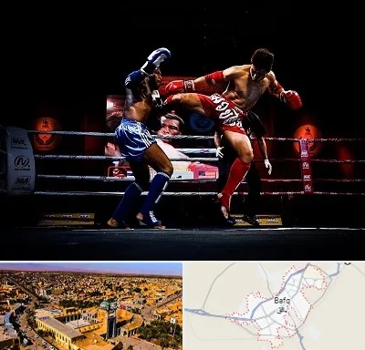 باشگاه موی تای در بافق
