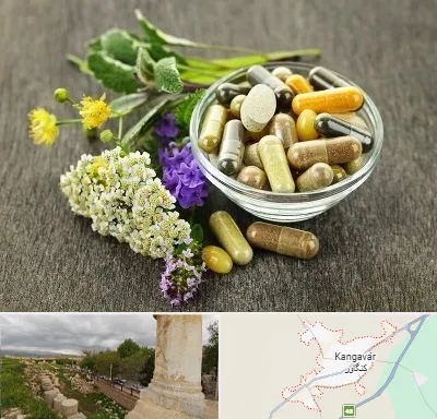 فروش گیاهان دارویی در کنگاور