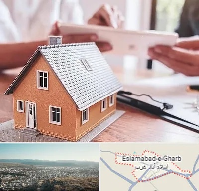 وکیل ملکی در اسلام آباد غرب