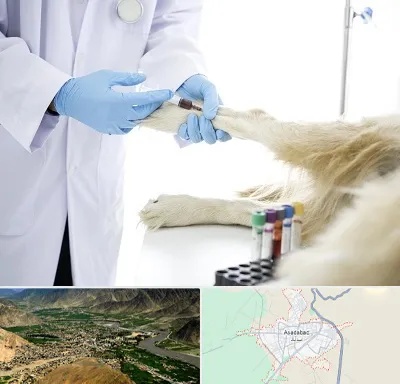 آزمایشگاه حیوانات در اسدآباد