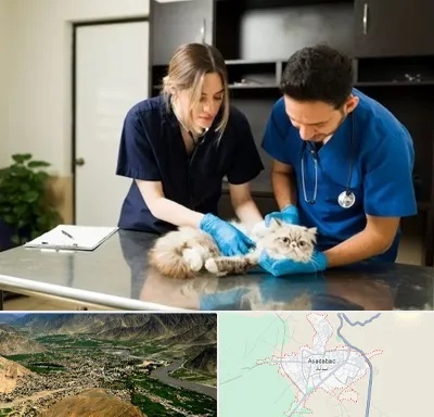 دامپزشکی سیار در اسدآباد