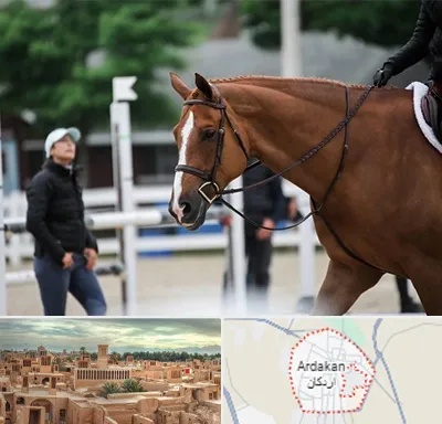 مربی سوارکاری در اردکان