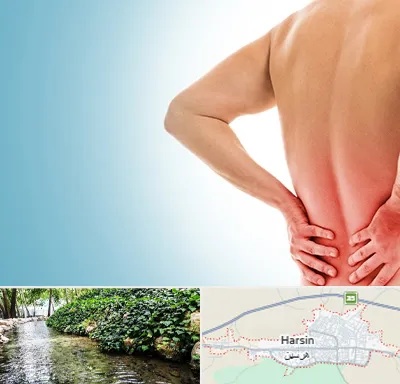 دکتر فلوشیپ دیسک کمر در هرسین
