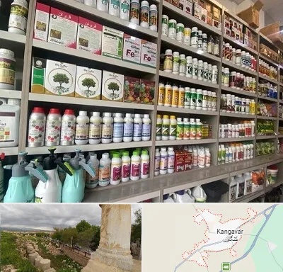 فروشگاه سموم کشاورزی در کنگاور