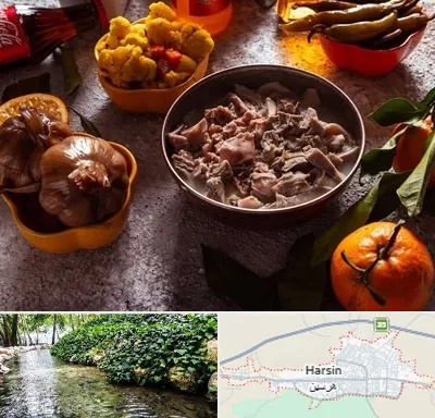 طباخی در هرسین