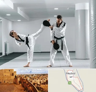باشگاه رزمی در میبد