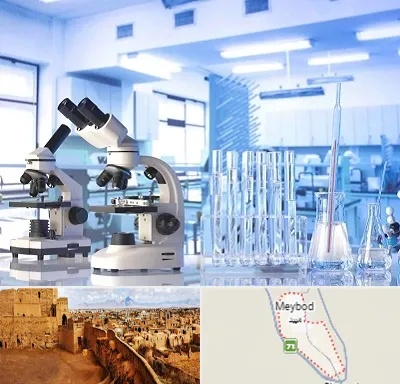 آزمایشگاه تشخیص اعتیاد در میبد