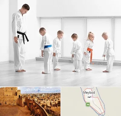 مربی کاراته در میبد