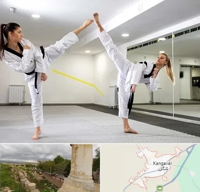 باشگاه دفاع شخصی بانوان در کنگاور