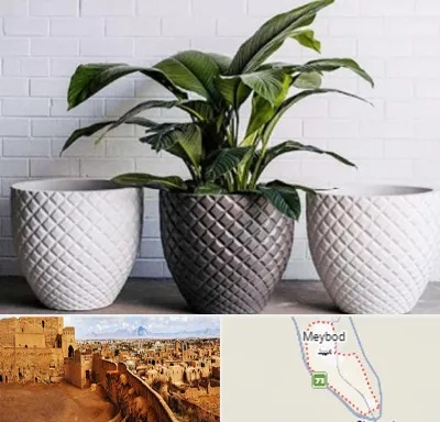 فروش گلدان پلاستیکی در میبد