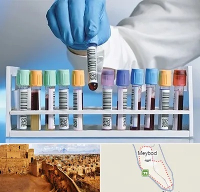 آزمایشگاه شبانه روزی در میبد