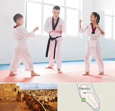 مربی رزمی در میبد