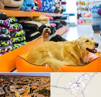 پت شاپ عمده در بافق