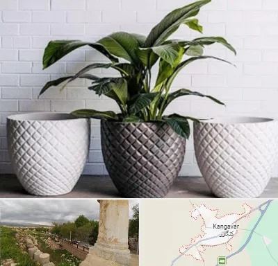 فروش گلدان پلاستیکی در کنگاور