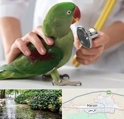 درمانگاه شبانه روزی پرندگان در هرسین