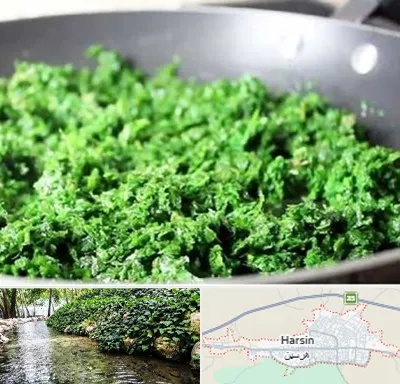 دستگاه سبزی خرد کن صنعتی در هرسین