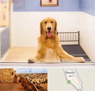 پانسیون حیوان خانگی در میبد