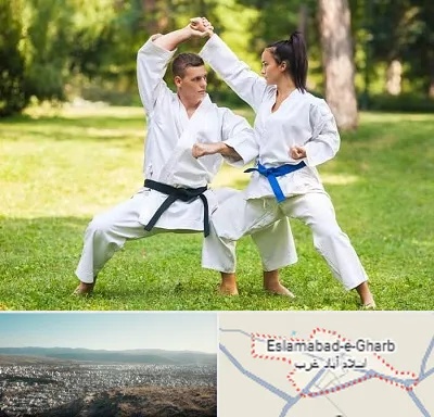 باشگاه هاپکیدو در اسلام آباد غرب