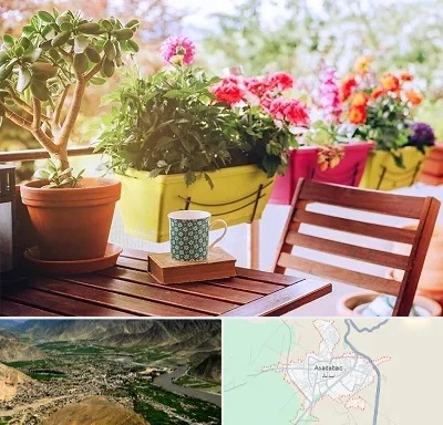 گیاه آپارتمانی در اسدآباد