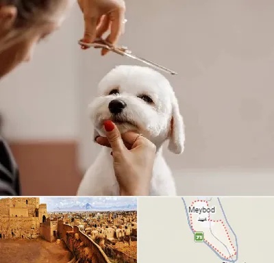 آرایشگاه پت در میبد