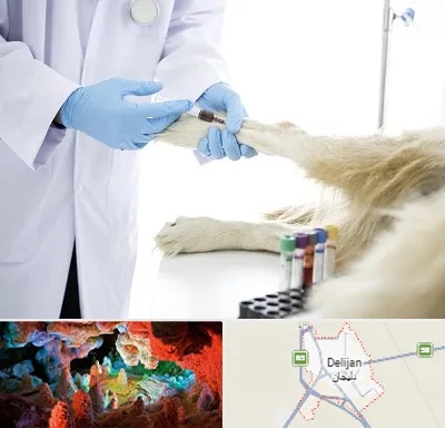 آزمایشگاه حیوانات در دلیجان