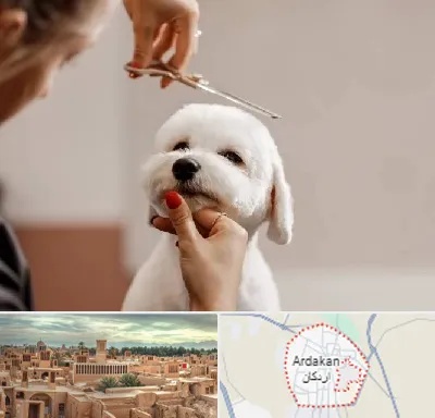 آرایشگاه پت در اردکان