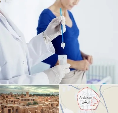 آزمایشگاه پاپ اسمیر در اردکان
