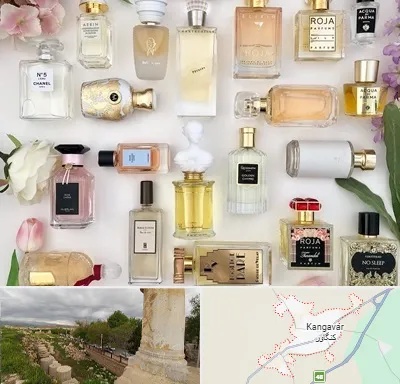 فروشگاه عطر اورجینال در کنگاور