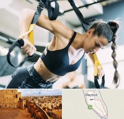 باشگاه تی آر ایکس در میبد
