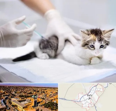 واکسیناسیون حیوانات در بافق