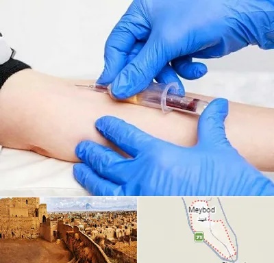 آزمایشگاه ازدواج در میبد