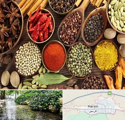 مرکز طب اسلامی در هرسین