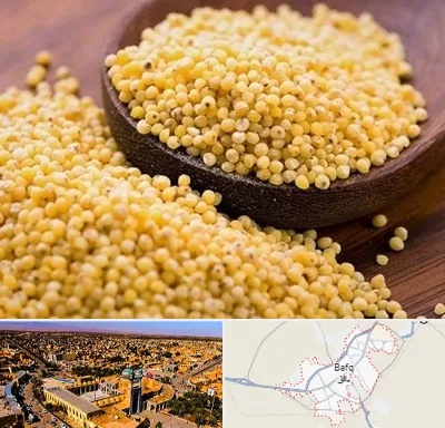 فروش ارزن در بافق