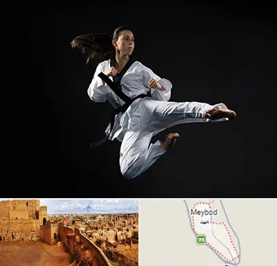 مربی رزمی خانم در میبد
