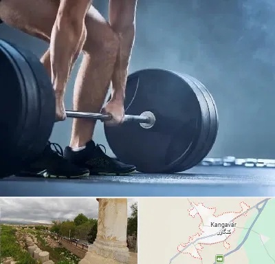 باشگاه بدنسازی در کنگاور