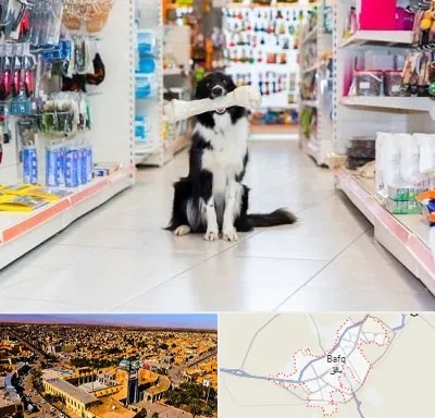 پت شاپ در بافق