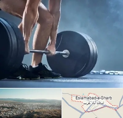 باشگاه بدنسازی در اسلام آباد غرب