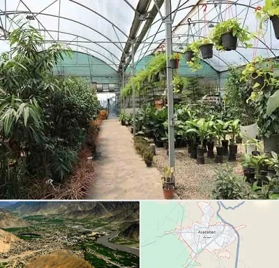 مرکز فروش گل و گیاه در اسدآباد