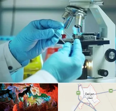 آزمایشگاه با جواب فوری در دلیجان
