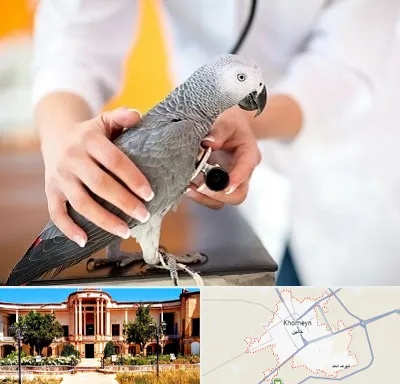 دامپزشکی پرندگان در خمین