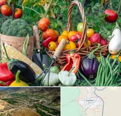 فروشگاه لوازم کشاورزی در اسدآباد