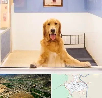 پانسیون حیوان خانگی در اسدآباد