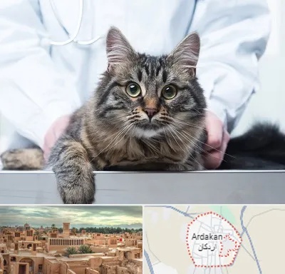 عقیم سازی حیوانات در اردکان