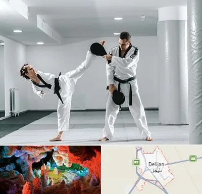 باشگاه رزمی در دلیجان