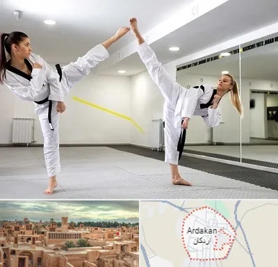 باشگاه دفاع شخصی بانوان در اردکان