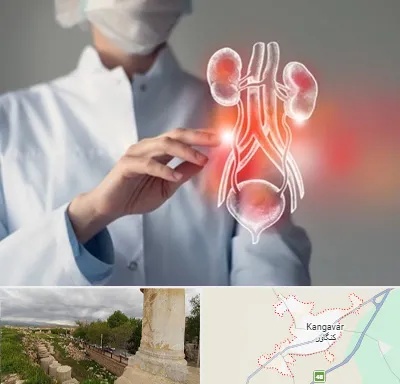 کلینیک اورولوژی در کنگاور
